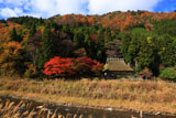 美山 佐々里の茅葺き民家と紅葉