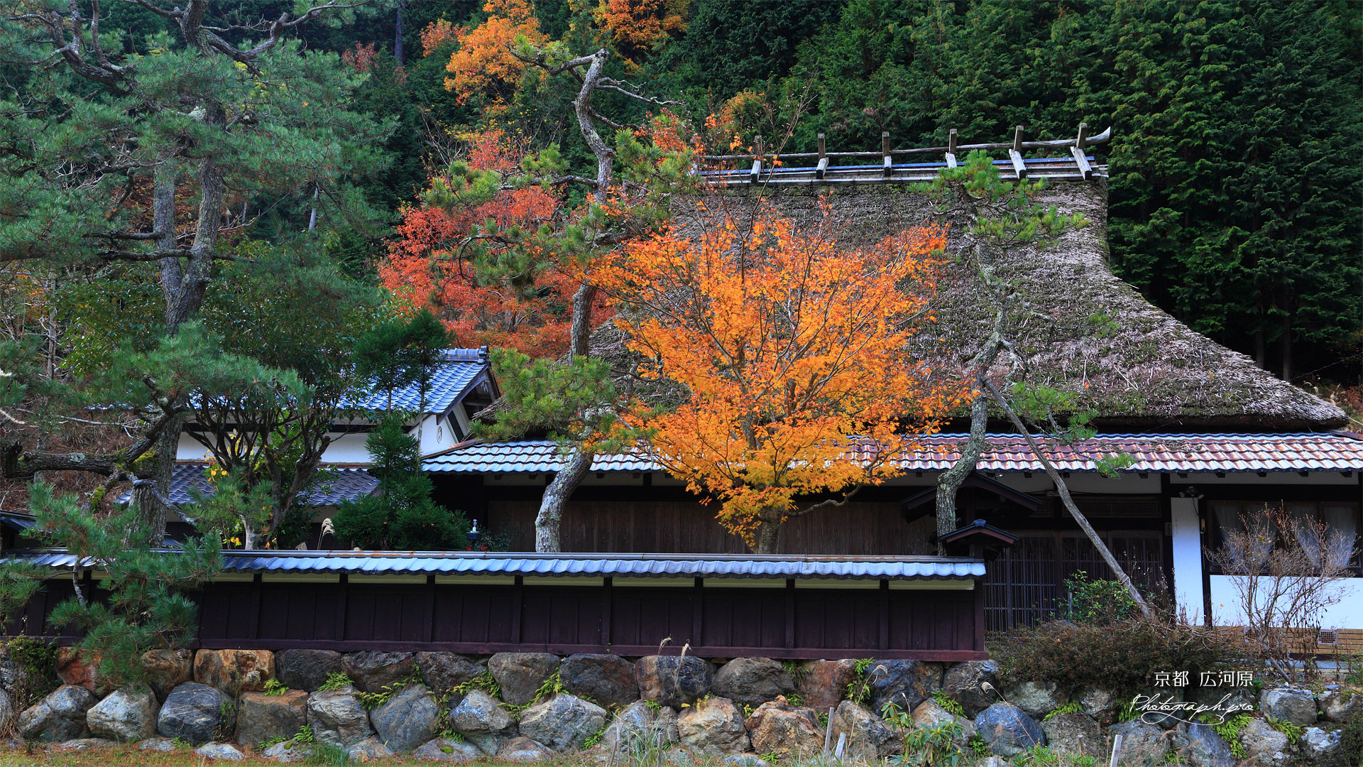 能見町の茅葺き民家と紅葉