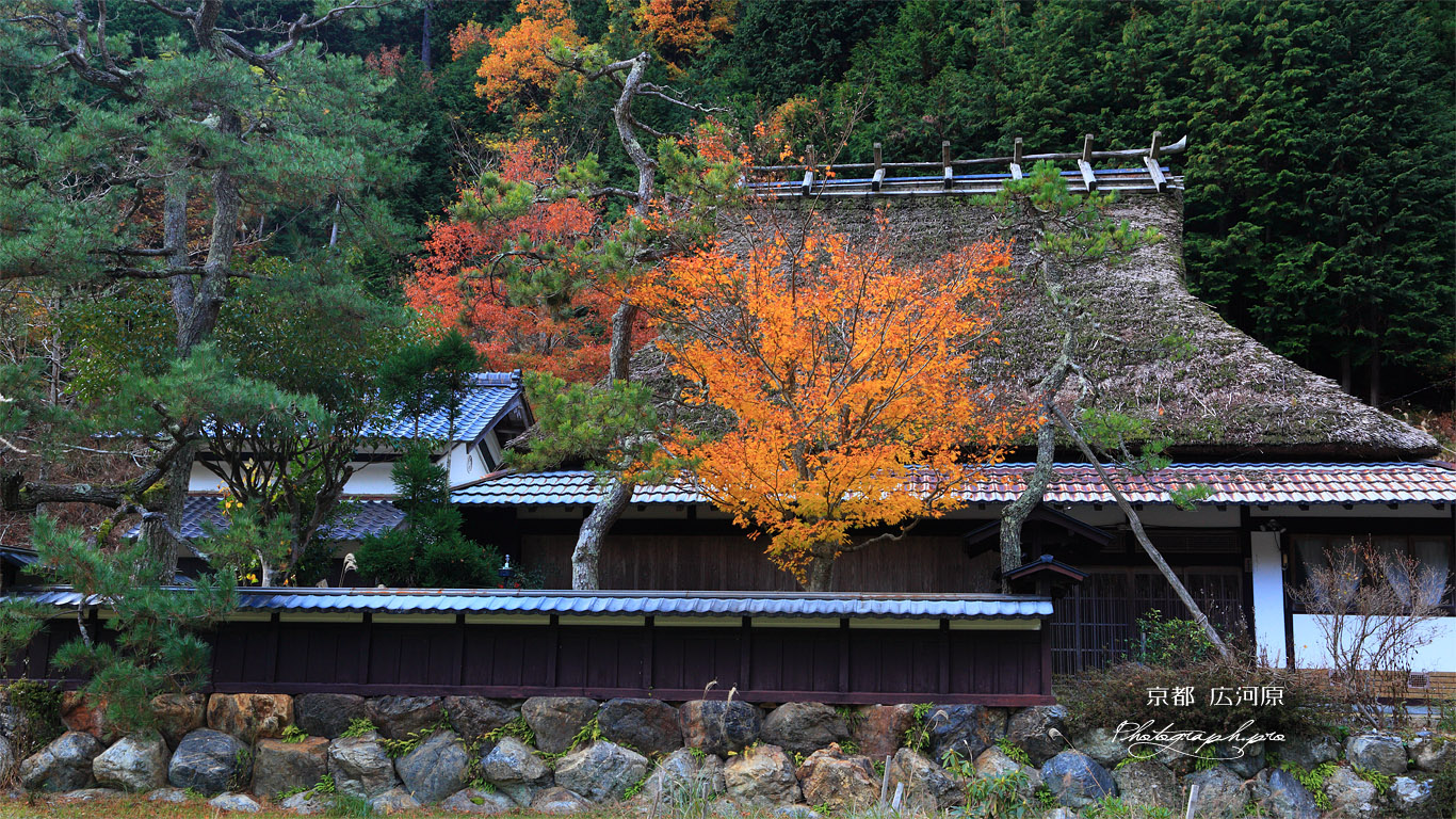 能見町の茅葺き民家と紅葉 壁紙