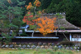 京都広河原 能見町の茅葺き民家と紅葉