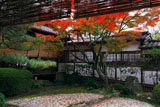 御香宮神社 遠州ゆかりの石庭の紅葉