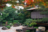 御香宮神社 紅葉と遠州ゆかりの石庭