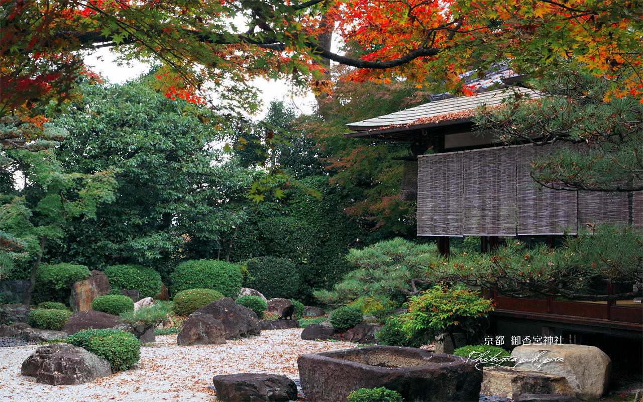 御香宮神社 紅葉と遠州ゆかりの石庭 壁紙