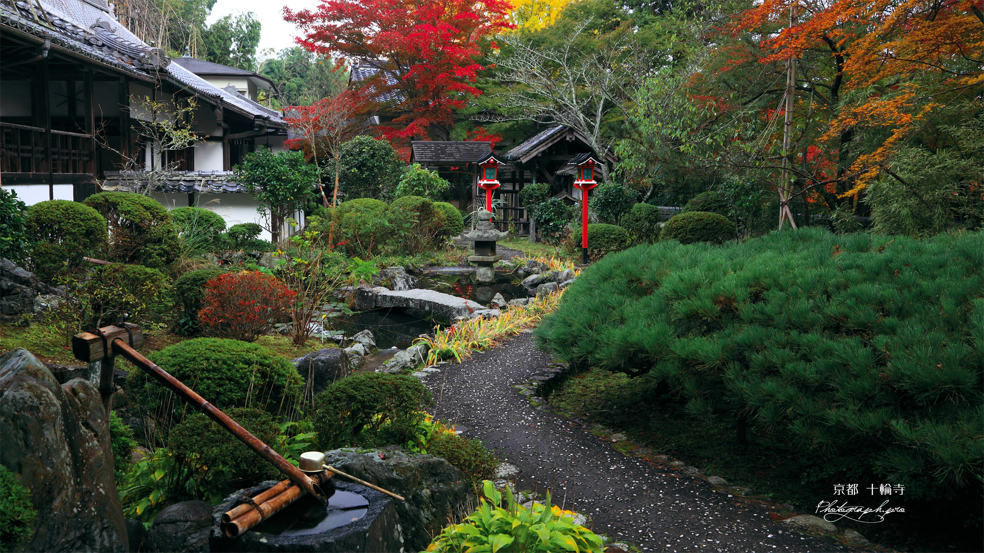 京都十輪寺 紅葉の地泉庭園