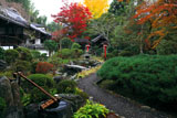 京都十輪寺 紅葉の地泉庭園