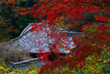 京都十輪寺 紅葉越しの本堂