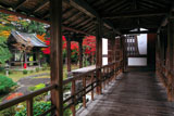 京都十輪寺 高廊下から鐘楼と紅葉