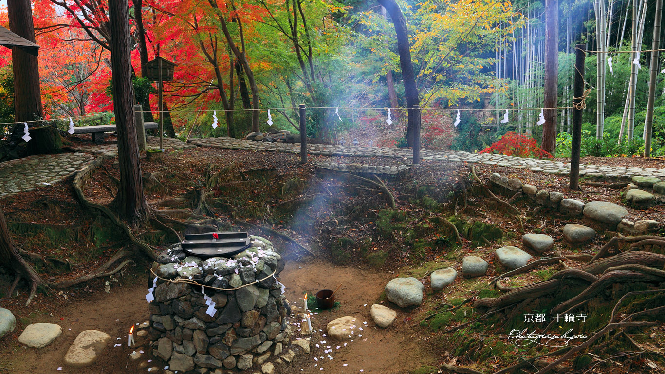 京都十輪寺 塩竃清祭 壁紙