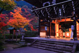 宵の善峯寺山門