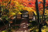 常寂光寺 紅葉と仁王門