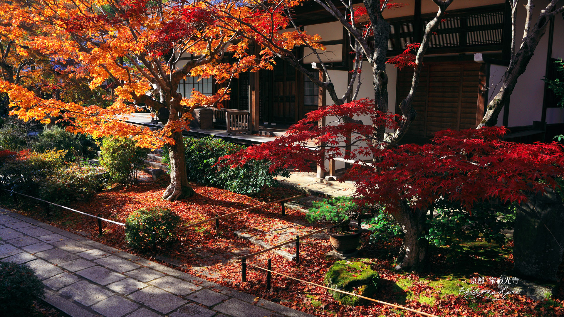 常寂光寺 紅葉と本堂