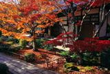 常寂光寺 紅葉と本堂