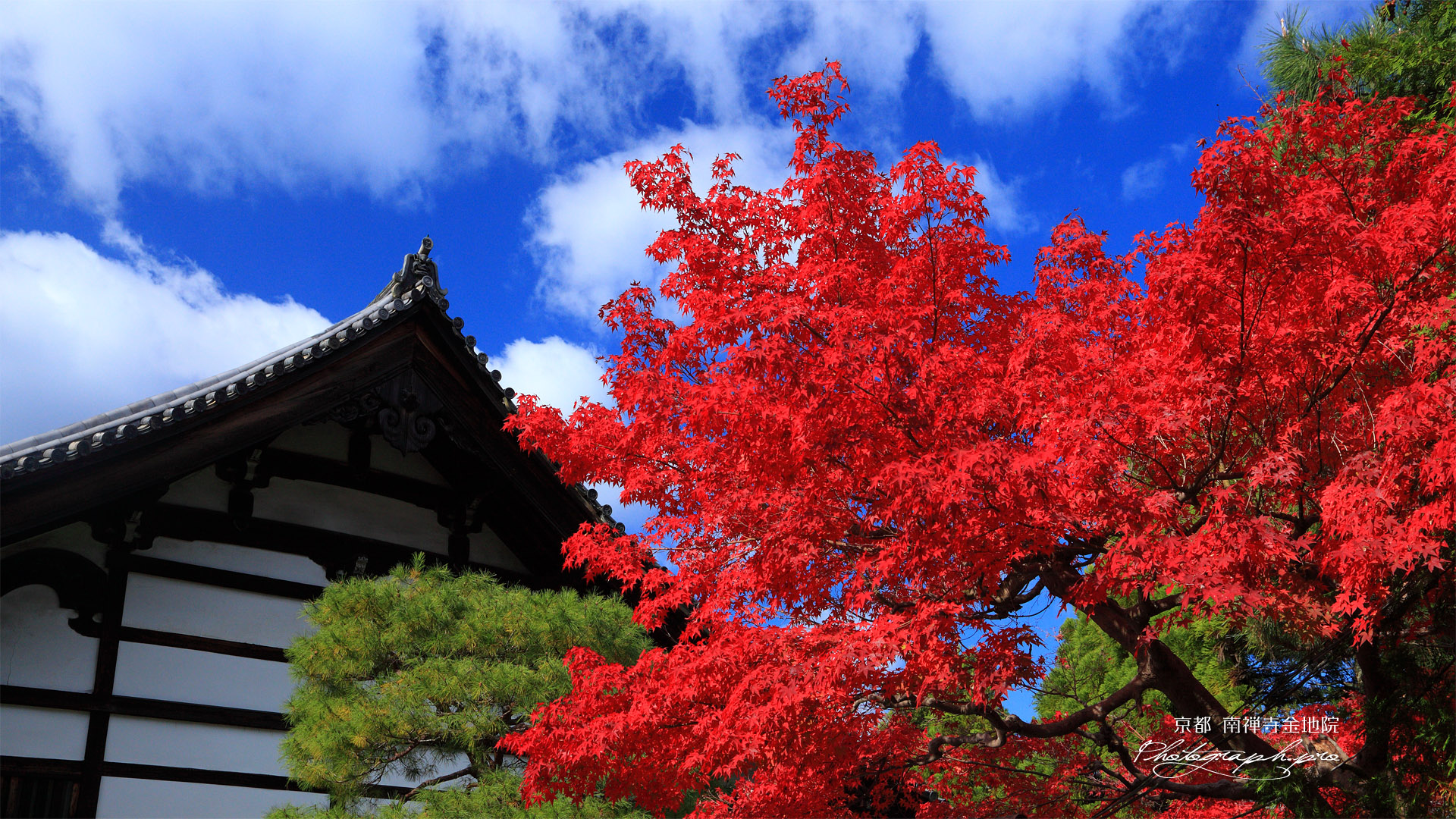 南禅寺金地院 紅葉と庫裏