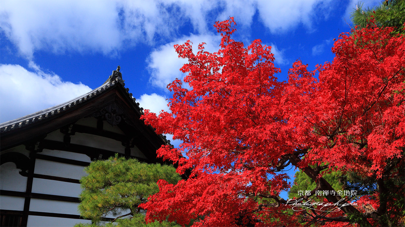 南禅寺金地院 紅葉と庫裏 壁紙