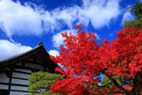 金地院