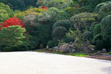 南禅寺金地院 紅葉の鶴亀の庭
