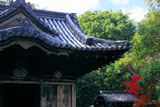 南禅寺金地院 東照宮拝殿と紅葉