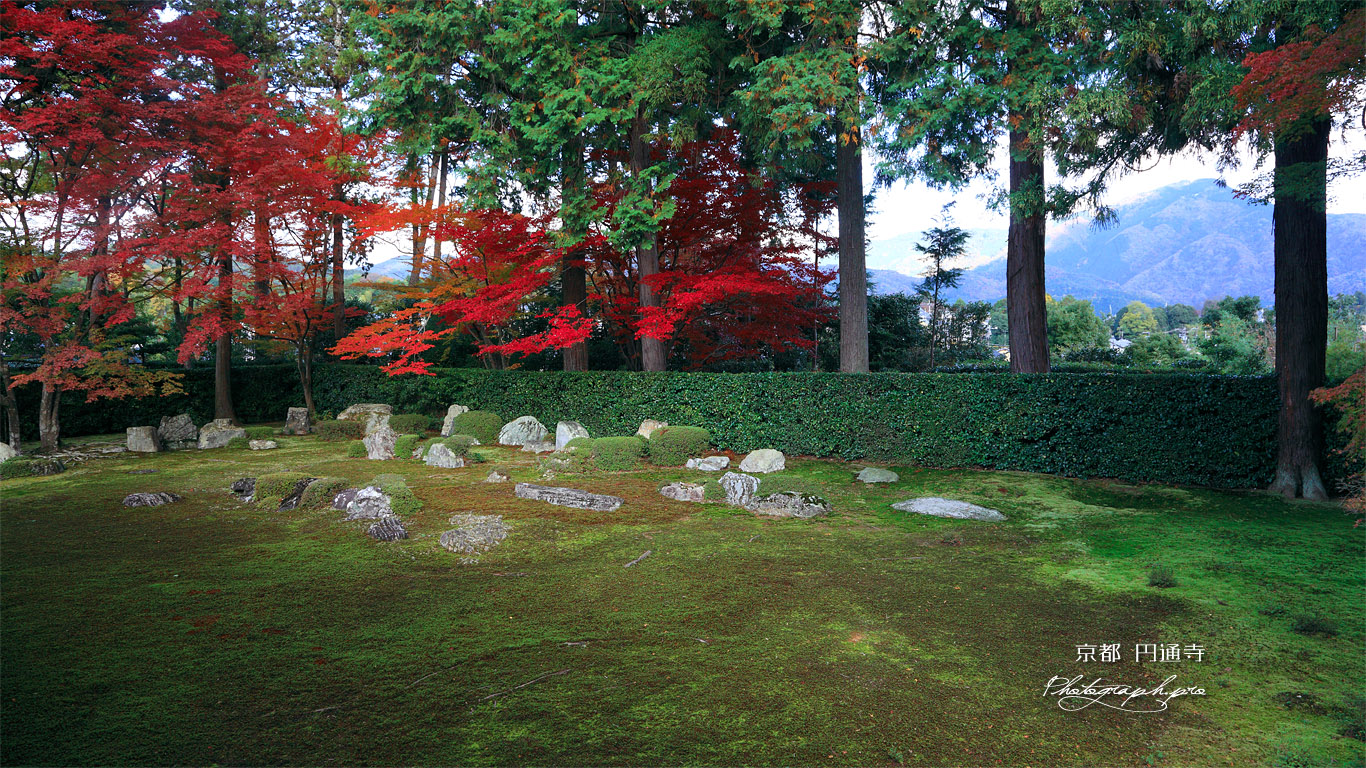 円通寺 紅葉の庭園 壁紙