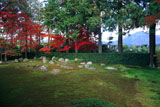 円通寺 紅葉の庭園