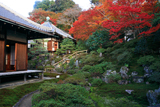 霊鑑寺 書院と本堂に紅葉
