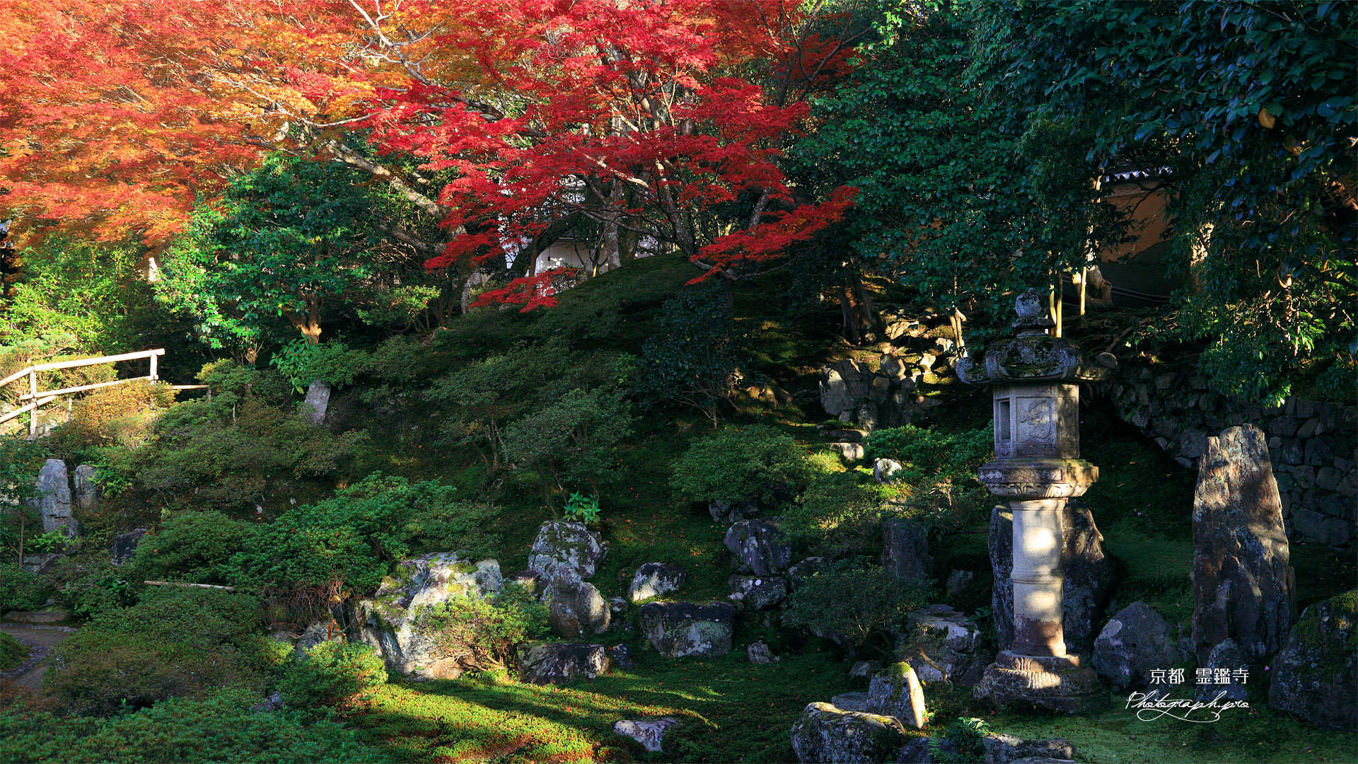 霊鑑寺 書院前庭の紅葉