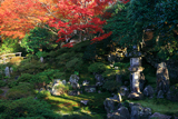 霊鑑寺 書院前庭の紅葉