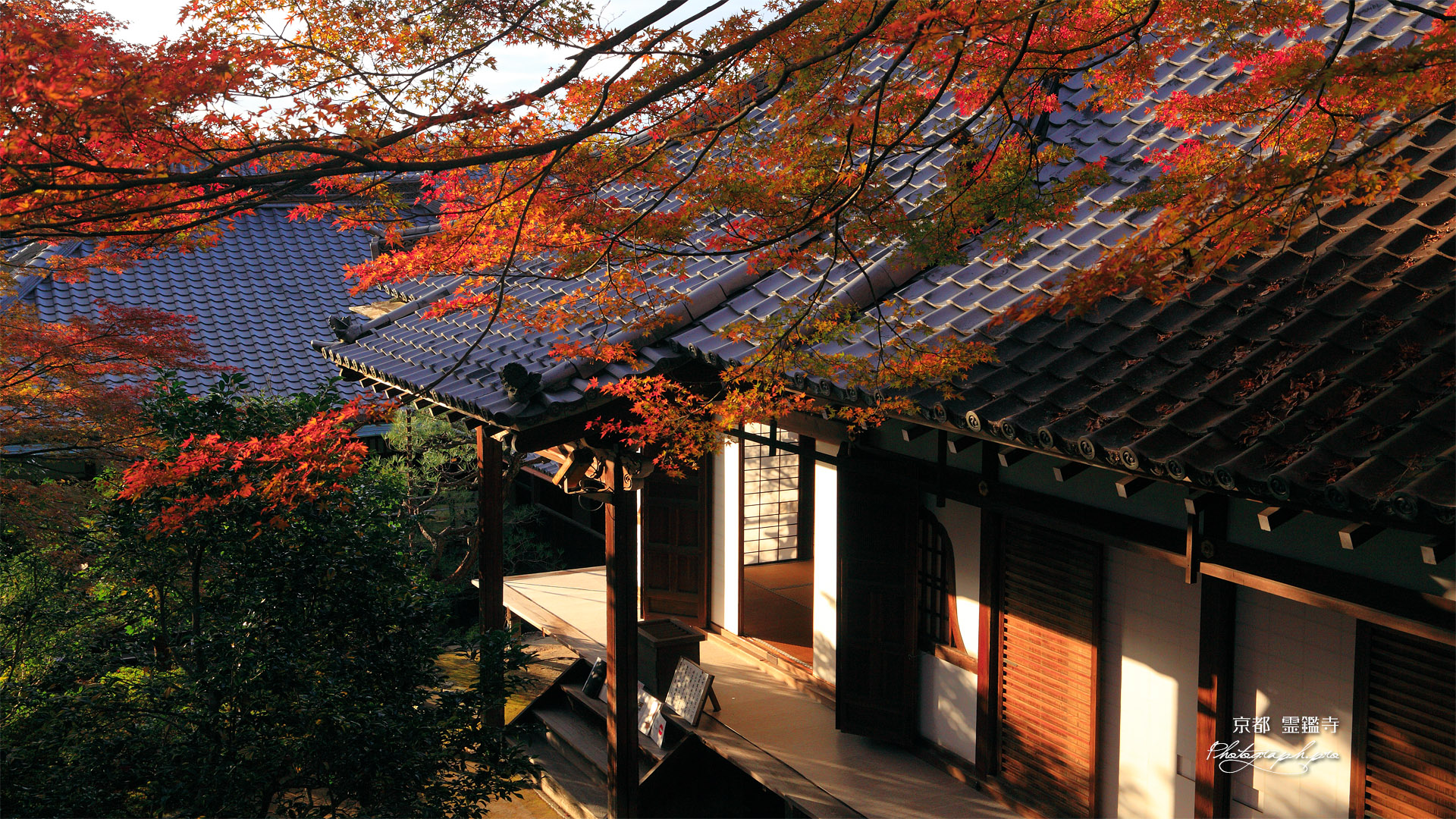 霊鑑寺 紅葉と本堂