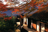 霊鑑寺 紅葉と本堂