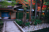 哲学の道 疏水と叶の紅葉