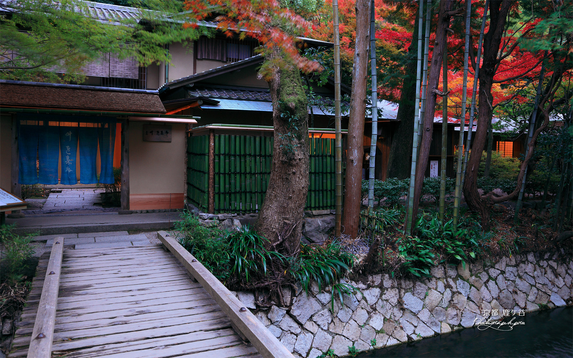 哲学の道 疏水と叶の紅葉