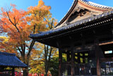 京都方広寺 鐘楼と紅葉