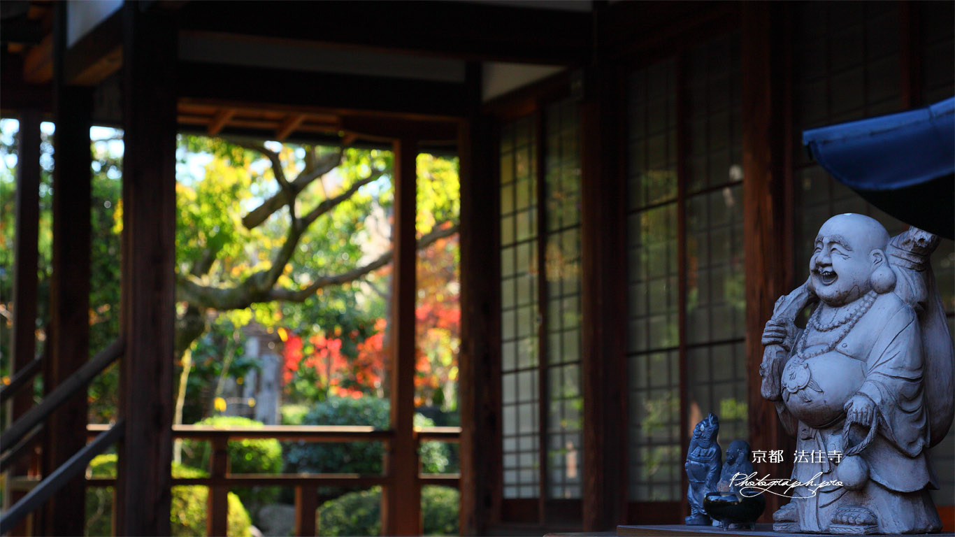 法住寺 阿弥陀堂の布袋尊と紅葉 壁紙