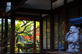 法住寺 阿弥陀堂の布袋尊と紅葉