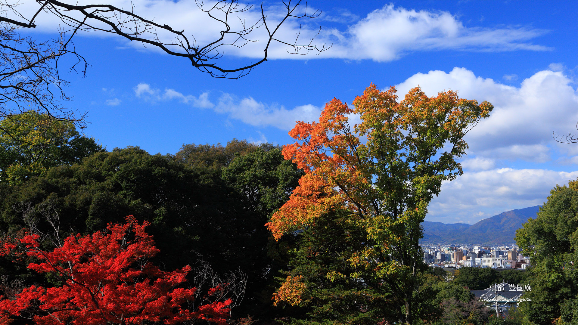 豊国廟 紅葉と京都市街