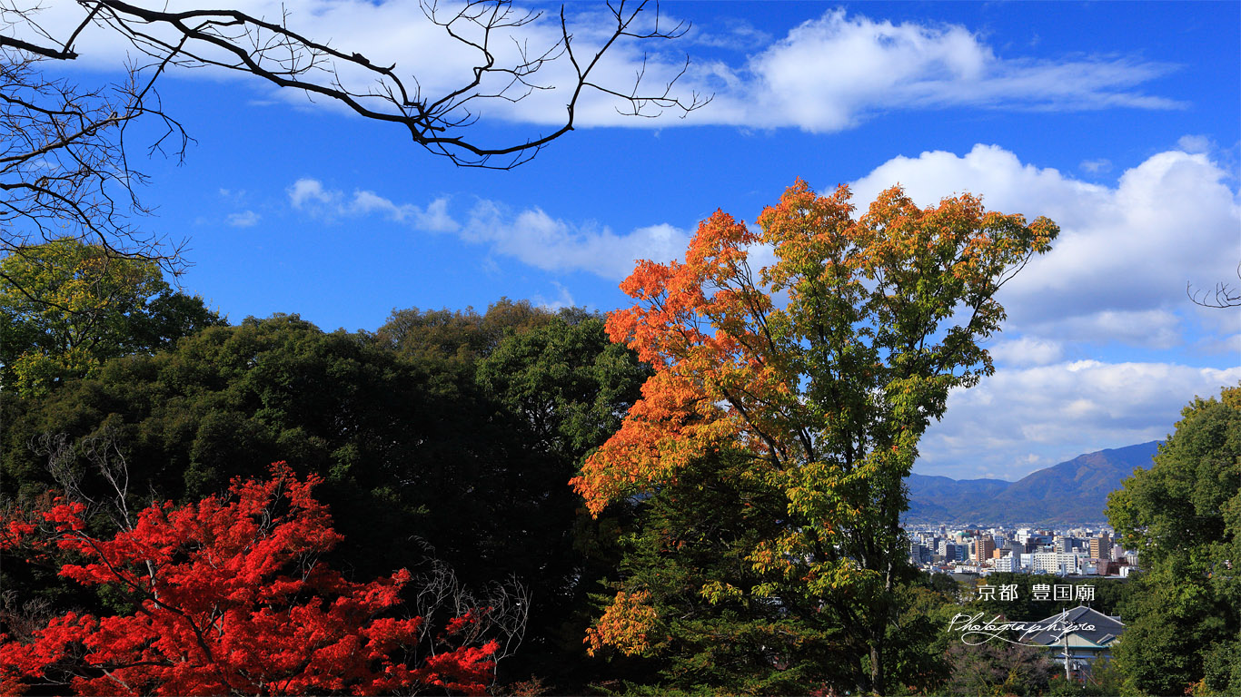 豊国廟 紅葉と京都市街 壁紙