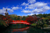 神泉苑 法成橋と紅葉