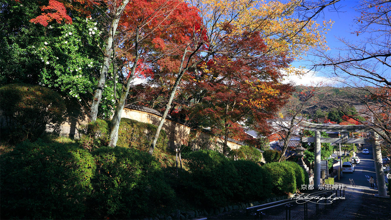 宗忠神社 参道の紅葉 壁紙