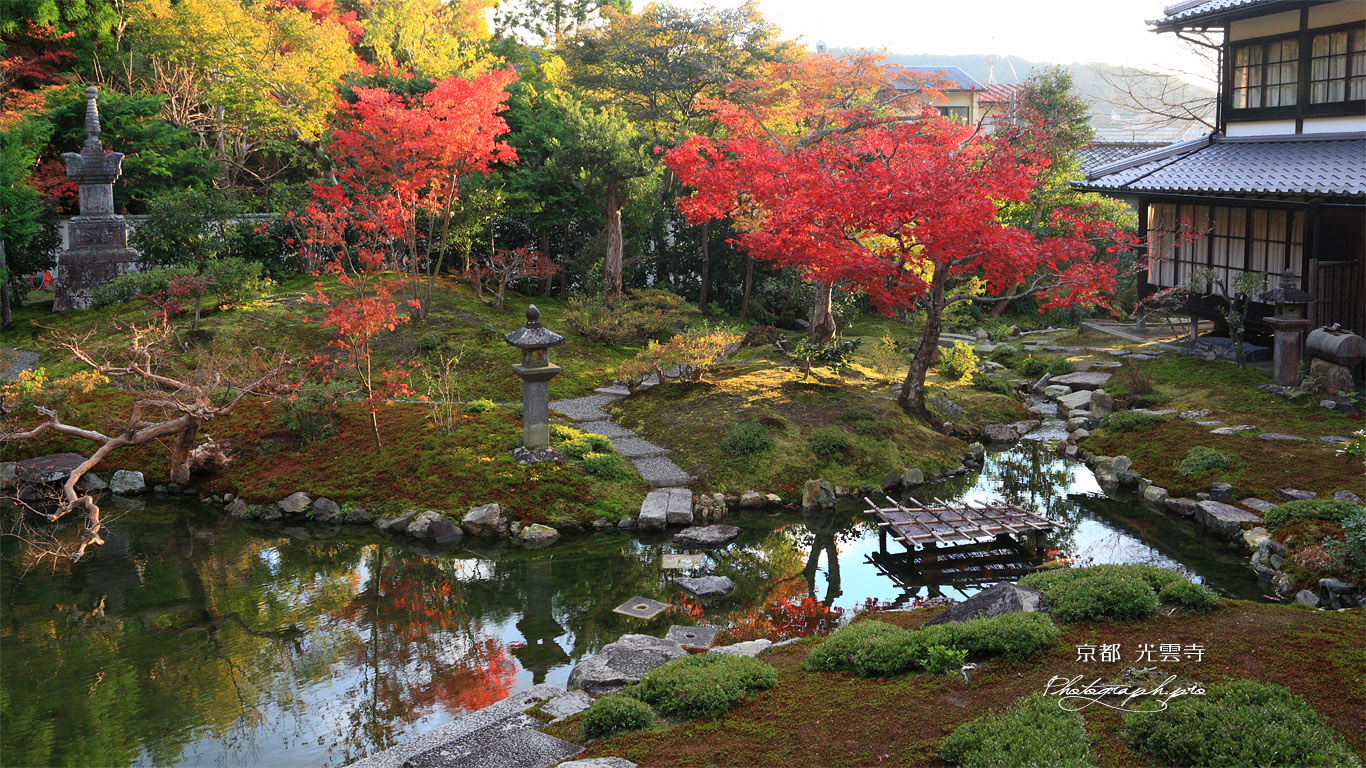 光雲寺 紅葉の庭園と庫裏 壁紙