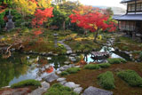 光雲寺 紅葉の庭園と庫裏