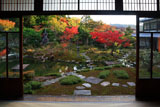 光雲寺 書院から紅葉の庭園