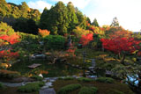 光雲寺 紅葉の池泉回遊式庭園
