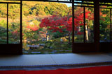 光雲寺