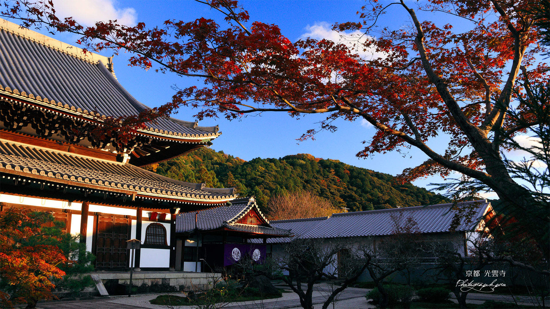 光雲寺 紅葉と仏殿