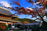 光雲寺 紅葉と仏殿