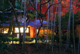 哲学の道 宵の匠壽庵と紅葉