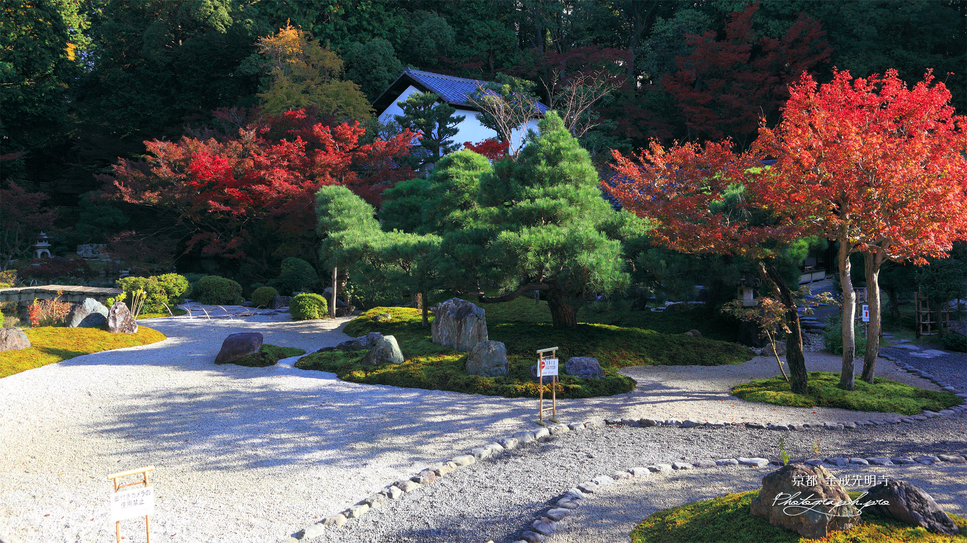 金戒光明寺 紅葉の紫雲の庭