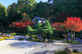 金戒光明寺 紅葉の紫雲の庭