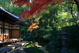 栄摂院 紅葉と本堂