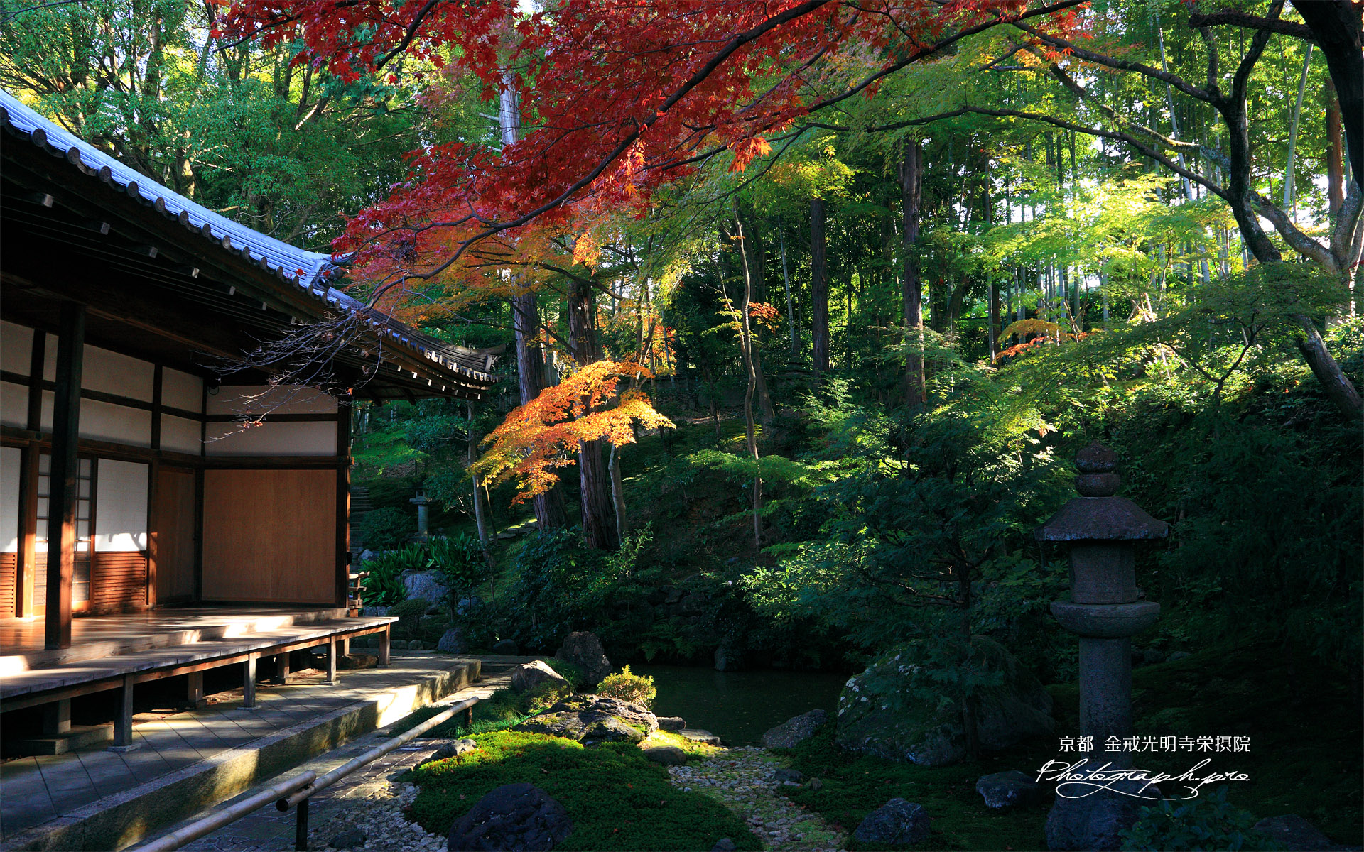 栄摂院 紅葉と本堂