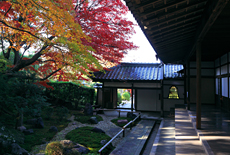 栄摂院